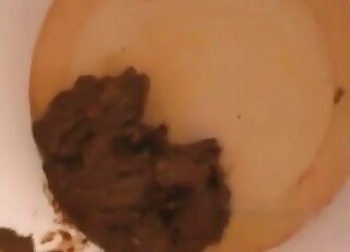 Chubby wench in the toilet is making a scat show